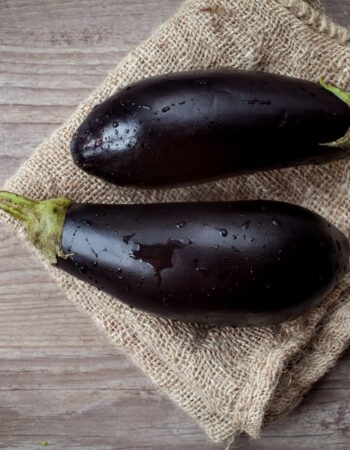 Eggplant